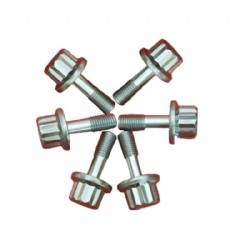 Plum Blossom Head Screw